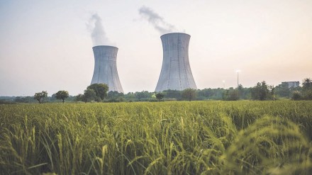 Rating buy; NTPC Strong performance