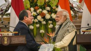 India, Suez Canal Economic Zone
