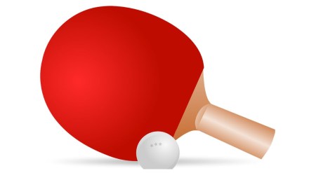 TTFI extends support to WTT Star Contender Goa