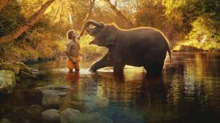 Oscars, Oscars 2023, Oscars india, The Elephant Whisperers, Guneet Monga, Oscar india documentary, entertainment