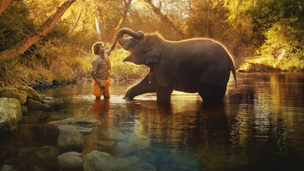 Oscars, Oscars 2023, Oscars india, The Elephant Whisperers, Guneet Monga, Oscar india documentary, entertainment Oscars, Oscars 2023, Oscars india, The Elephant Whisperers, Guneet Monga, Oscar india documentary, entertainment