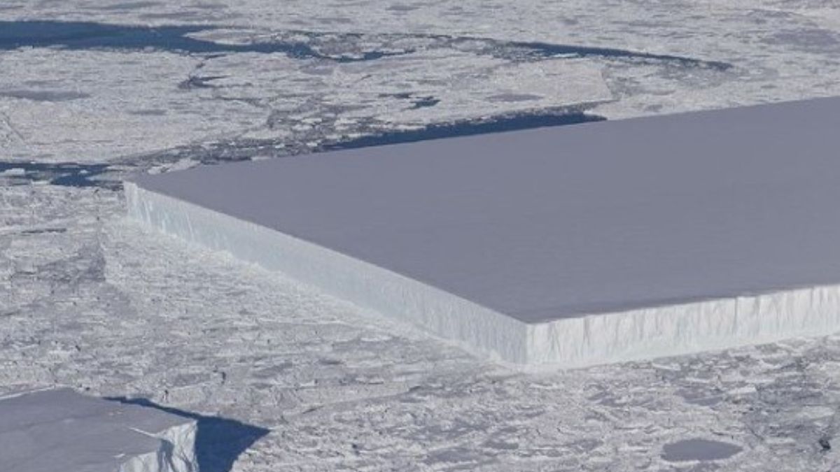 Iceberg Iceberg