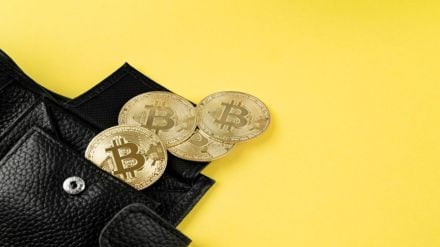 Reportedly, a community member shielded Bitcoin and laid the argument that certain aspects of it give it an intrinsic value