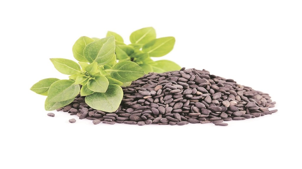 health, health sector