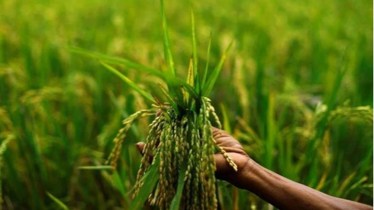 Delivering A Green Future: A pathway to sustainable growth in India