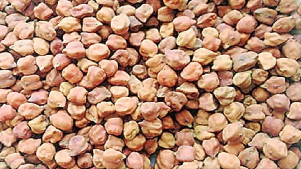 chana stock, economy