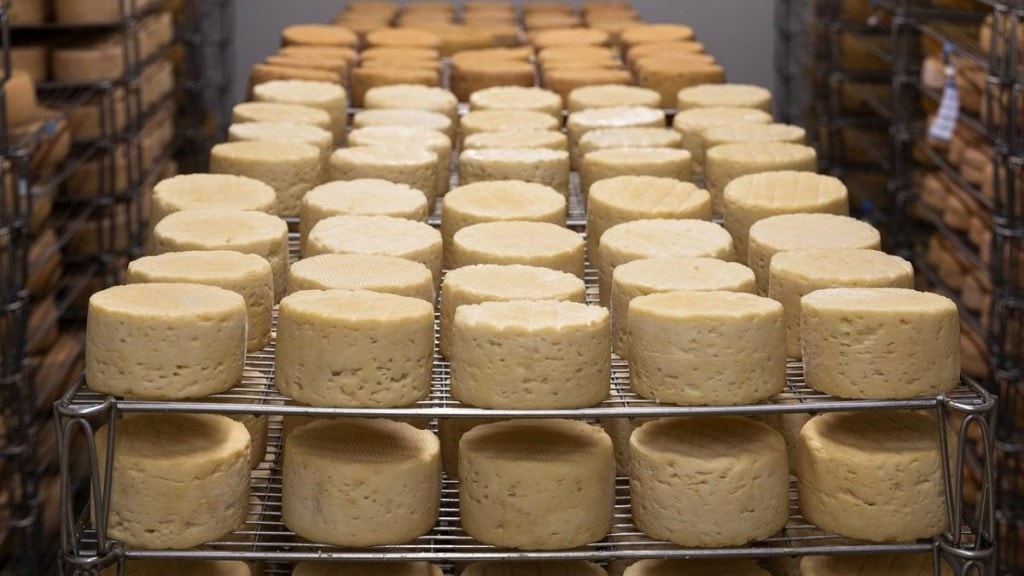 manufacturing India, business, industry manufacturing India, business, industry