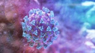covid 19 infection
