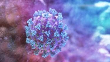 covid 19 infection