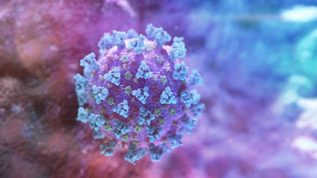 H3N2, influenza, H3N2 infection, H3N2 virus, H3N2 deaths, first death, Karnataka, influenza virus, H3N2 symptoms, H3N2 prevention, H3N2 treatment, H3N2 causes, H3N2 Influenza virus, H3N2 Influenza virus symptoms, H3N2 Influenza virus treatment, H3N2 virus infection, H3N2 Influenza cases in india, first H3N2 victim, H3N2 virus in india, H3N2 virus cases, H3N2 virus cases in india, india's first death from H3N2 virus, H3N2 virus death, H3N2 cases in karnataka, H3N2 death case in karnataka