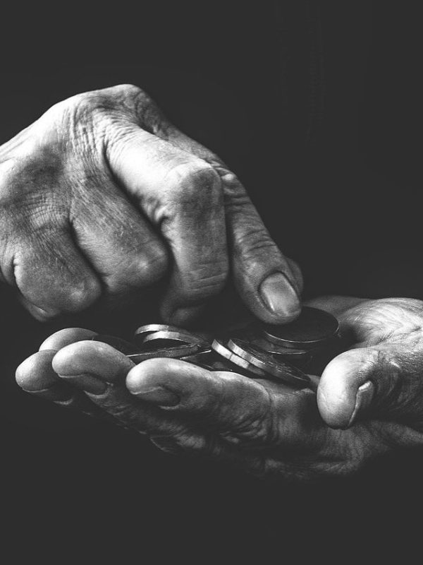 senior citizen investment options