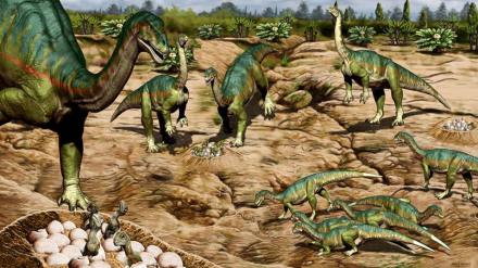 
The nesting sites of Titanosaurs were designed to have shallow pits. 
