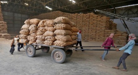 rice, exports, grain shipments, food protectionism, welfare programs, food inflation, duty, sugar sales, price