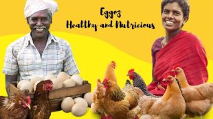 Agritech startup Eggoz raises $8.8 million