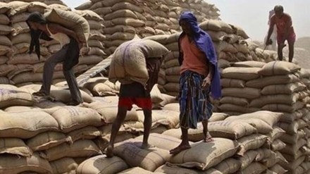 FCI, artificial intelligence FCI, artificial intelligence