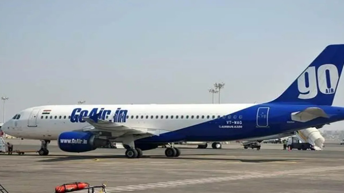 Go Air, aviation sector