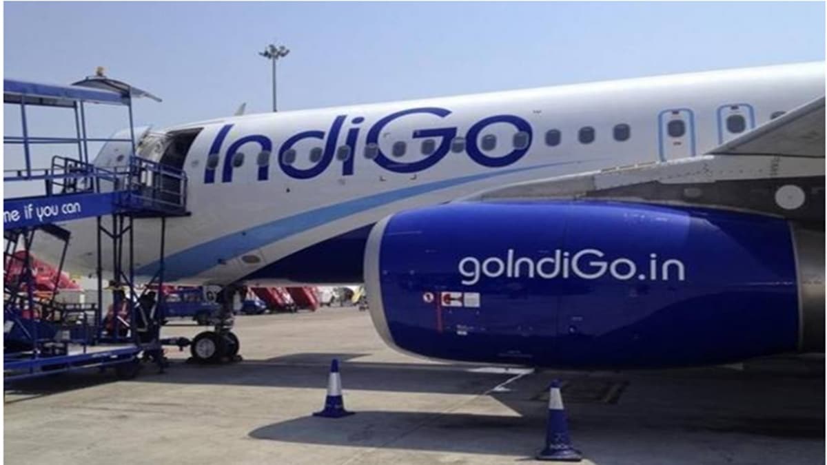 indigo, aviation
