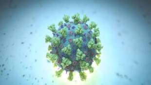 HempStreet, MGC Pharma, COVID-19, mouth spray, healthcare news,