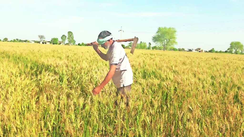 economy, kharif season