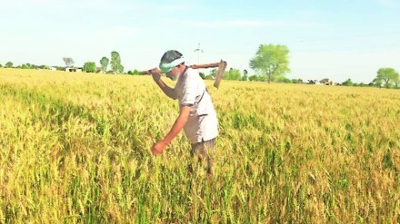 economy, kharif season
