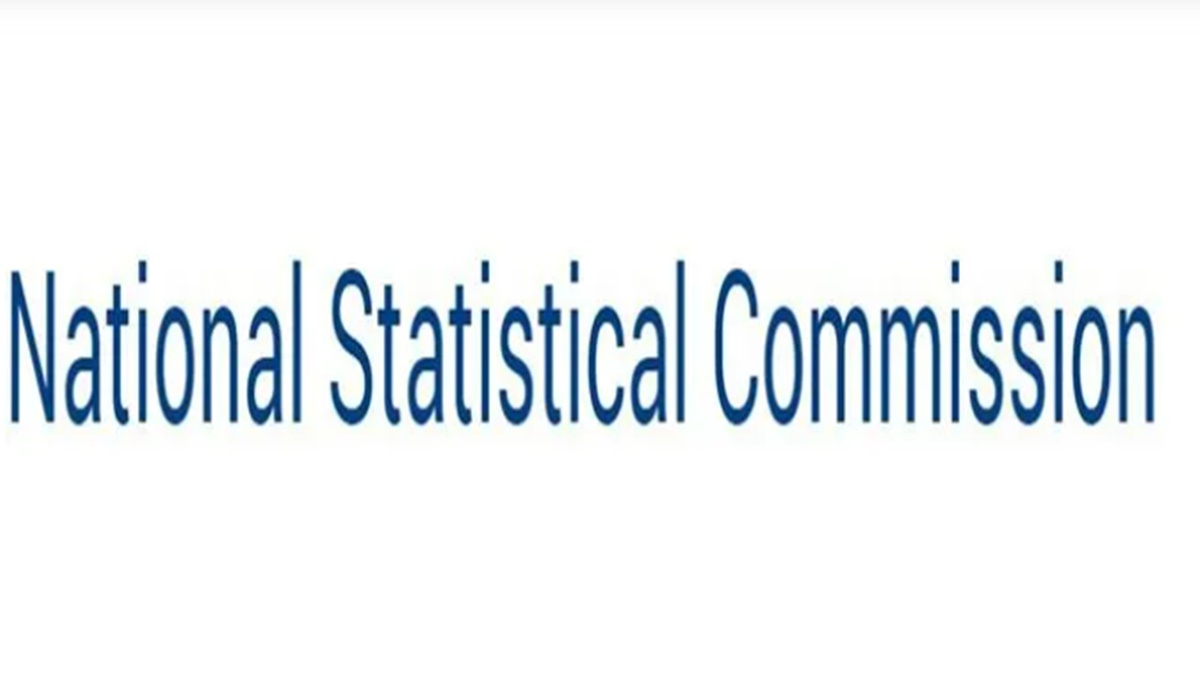 Stat Int ‘Volatility inherent in statistical exercises’ - Economy News | The ...