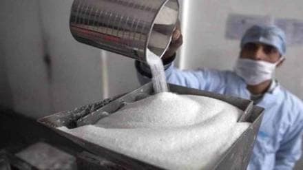 sugar exports