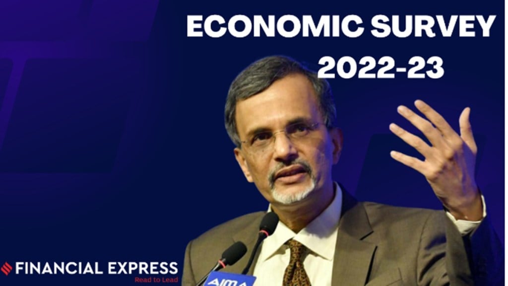 economic survey, economic survey 2023