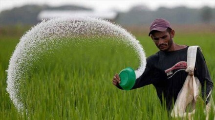 urea, economy