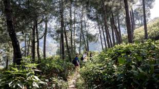 Ecotourism, what is Ecotourism, Ecotourism in india, Ecotourism benefits, unsustainable tourism, tourism in india, tourism budget