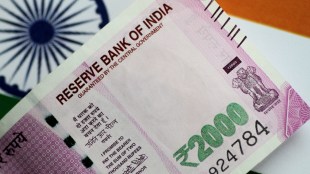 debt securities, global indexes, status quo, debt, domestic funds, dollar, local assets, tax policies, global gauges