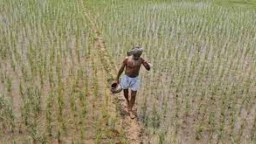 Agriculture sector gets credit, digital push Agriculture sector gets credit, digital push