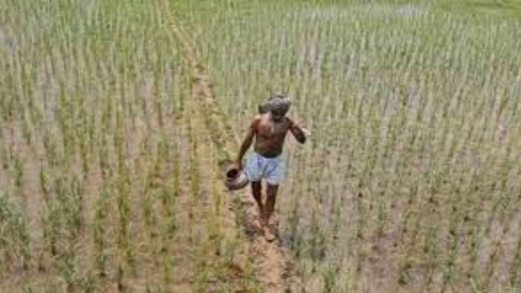 Agriculture sector gets credit, digital push