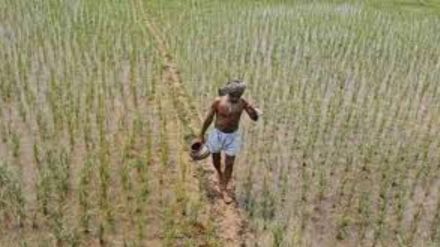 Agriculture sector gets credit, digital push