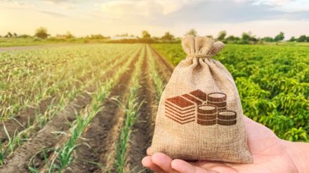_Agri startup fund to help increase yield, market linkages