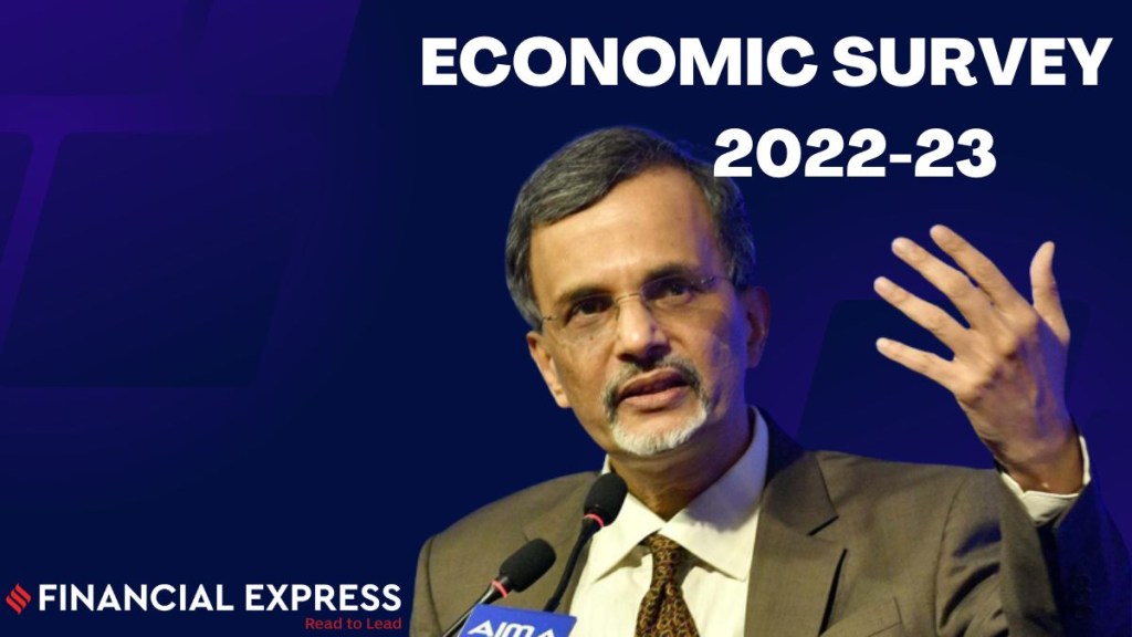 Economic Survey 2023: Rate hikes not to hit private capex, says CEA V Anantha Nageswaran Economic Survey 2023: Rate hikes not to hit private capex, says CEA V Anantha Nageswaran