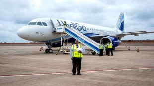 indigo, InterGlobe Aviation, civil aviation, Revenue passenger