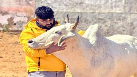 Monu Manesar. (Photo: Instagram)