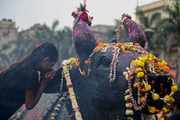 Kolkata: A girl whispers her wishes to the ear of 'Nandi', a sacred bull of Lord Shiva during Maha Shivratri festival, at Bhukaliash Temple, in Kolkata. (PTI Photo)