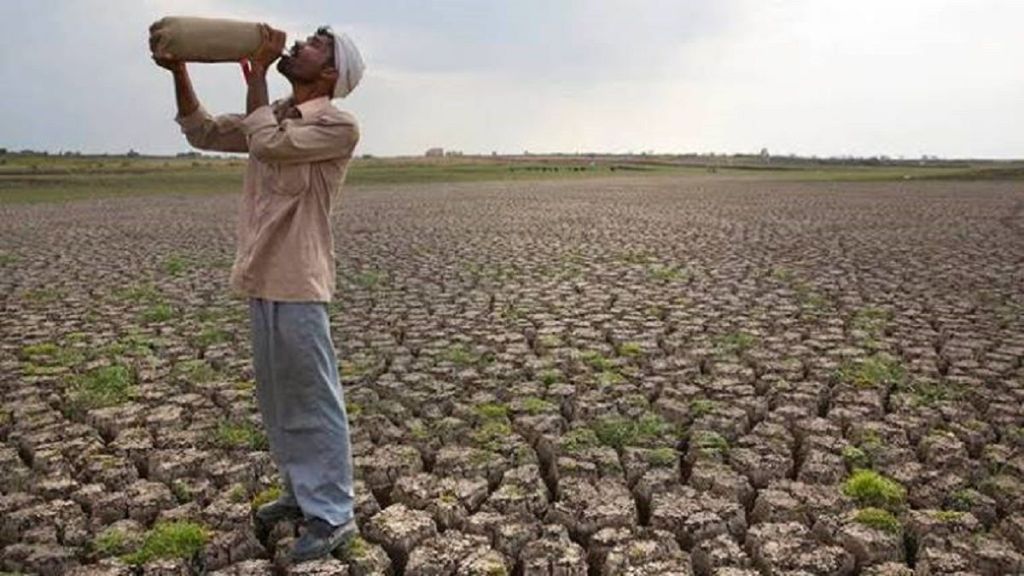 imd, agri growth, gross value added, skymet, economy news