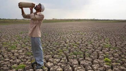 imd, agri growth, gross value added, skymet, economy news imd, agri growth, gross value added, skymet, economy news