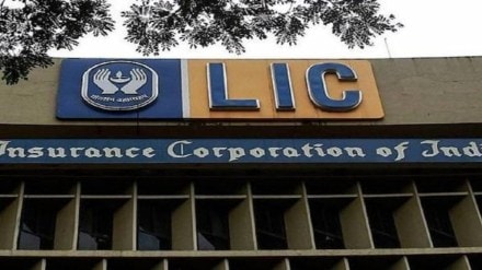 LIC Q3 results