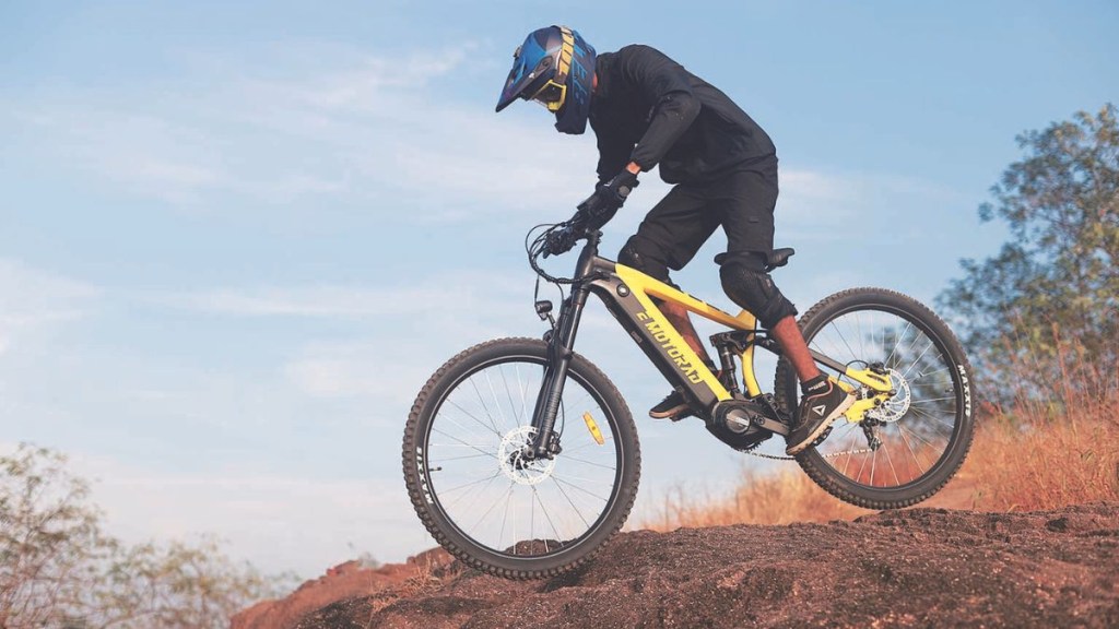 Experts also note that for e-cycle brands, the task is not just growing their own brands but also growing the category as a whole and taking it mainstream.