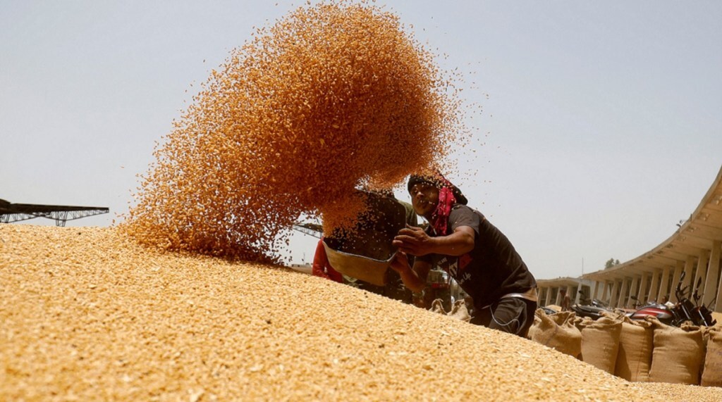 cereal prices, price hike, increased demand, international market, domestic market, CPI, retail inflation, export, wheat exports, export duty, production expectations, price sentiment