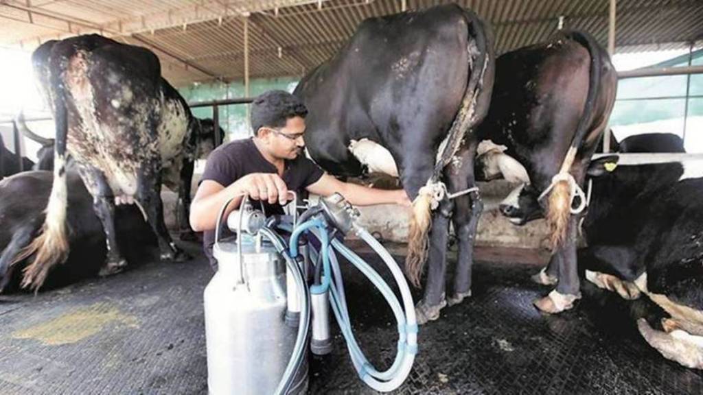 agri-fishery-dairy cooperatives