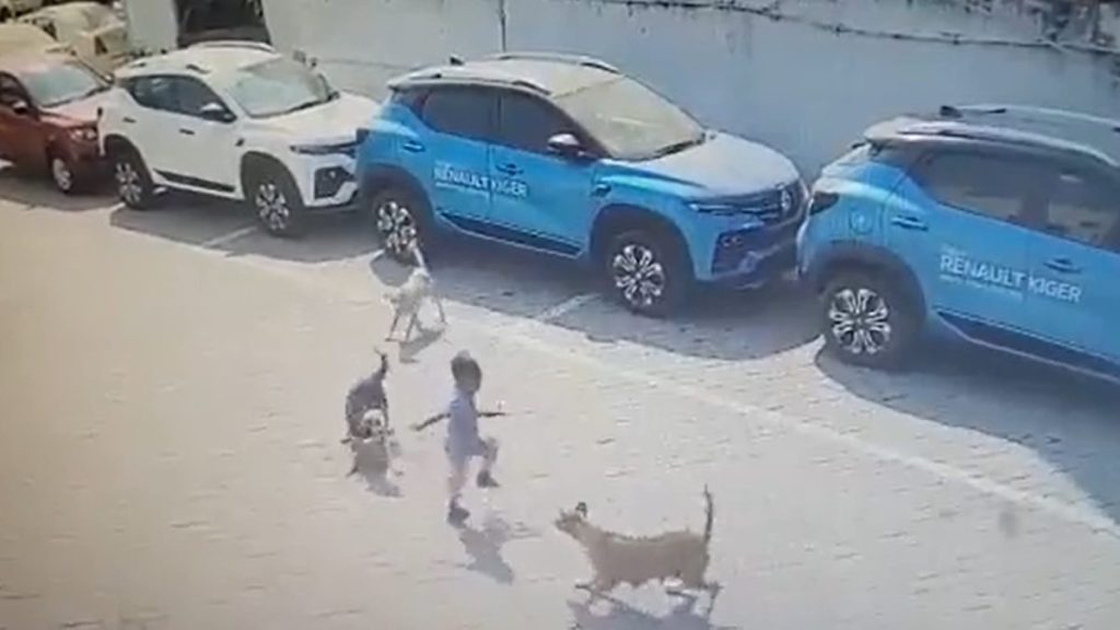 The incident took place in Amberpet area on Sunday. (Photo: Twitter/Screengrab) The incident took place in Amberpet area on Sunday. (Photo: Twitter/Screengrab)