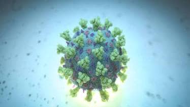 coronavirus pandemic, covid 19, mental health, mental illness, healthcare news,