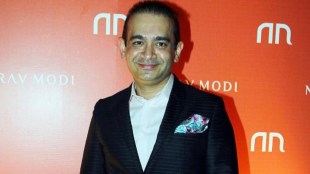 nirav modi, diamond, gemstones, lenders, government agency, diamond industry, supply, allegations, extradition