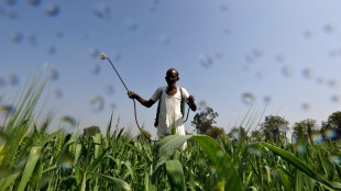 budget 2023, budget live, budget 2023 key points, union budget 2023, budget 2023 live, nirmala sitharaman, live budget 2023, india budget 2023, budget news, fertiliser, fertiliser cut