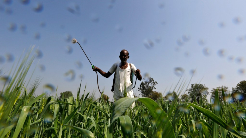 budget 2023, budget live, budget 2023 key points, union budget 2023, budget 2023 live, nirmala sitharaman, live budget 2023, india budget 2023, budget news, fertiliser, fertiliser cut budget 2023, budget live, budget 2023 key points, union budget 2023, budget 2023 live, nirmala sitharaman, live budget 2023, india budget 2023, budget news, fertiliser, fertiliser cut