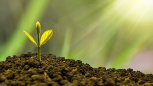 investing strategy